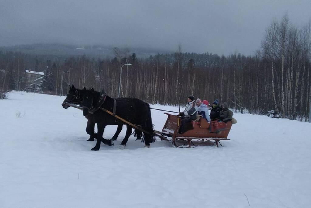 Nowoczesne Mieszkanie Blisko Natury I Sklepu Biedronka Karpacz Bagian luar foto