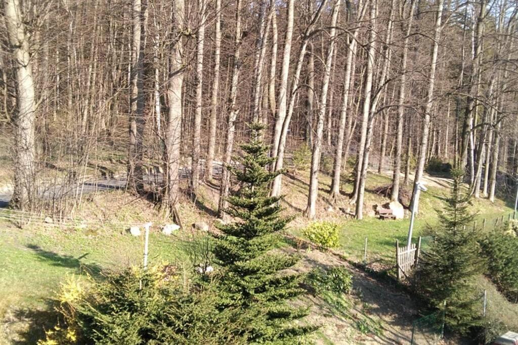 Nowoczesne Mieszkanie Blisko Natury I Sklepu Biedronka Karpacz Bagian luar foto